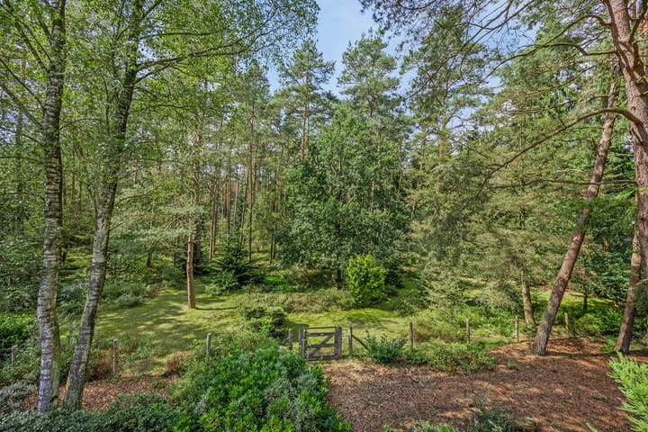 Foto 60 van Oude Elburgerweg 5