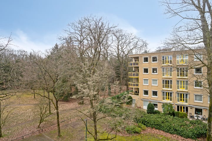 Foto 27 van Park Sparrendaal 71