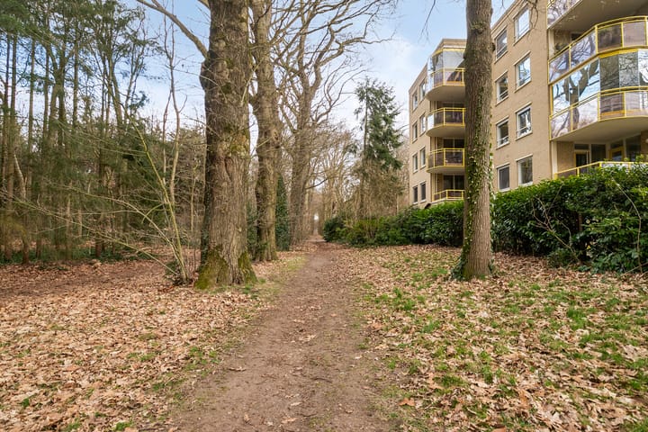 Foto 32 van Park Sparrendaal 71