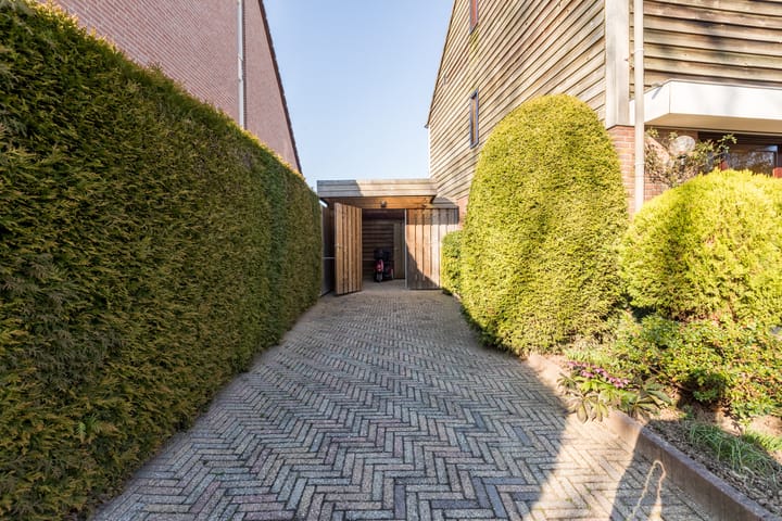 Foto 6 van Sleedoorn 41