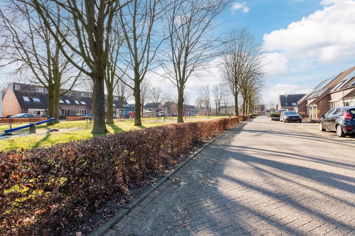 Foto 30 van Sleedoorn 41