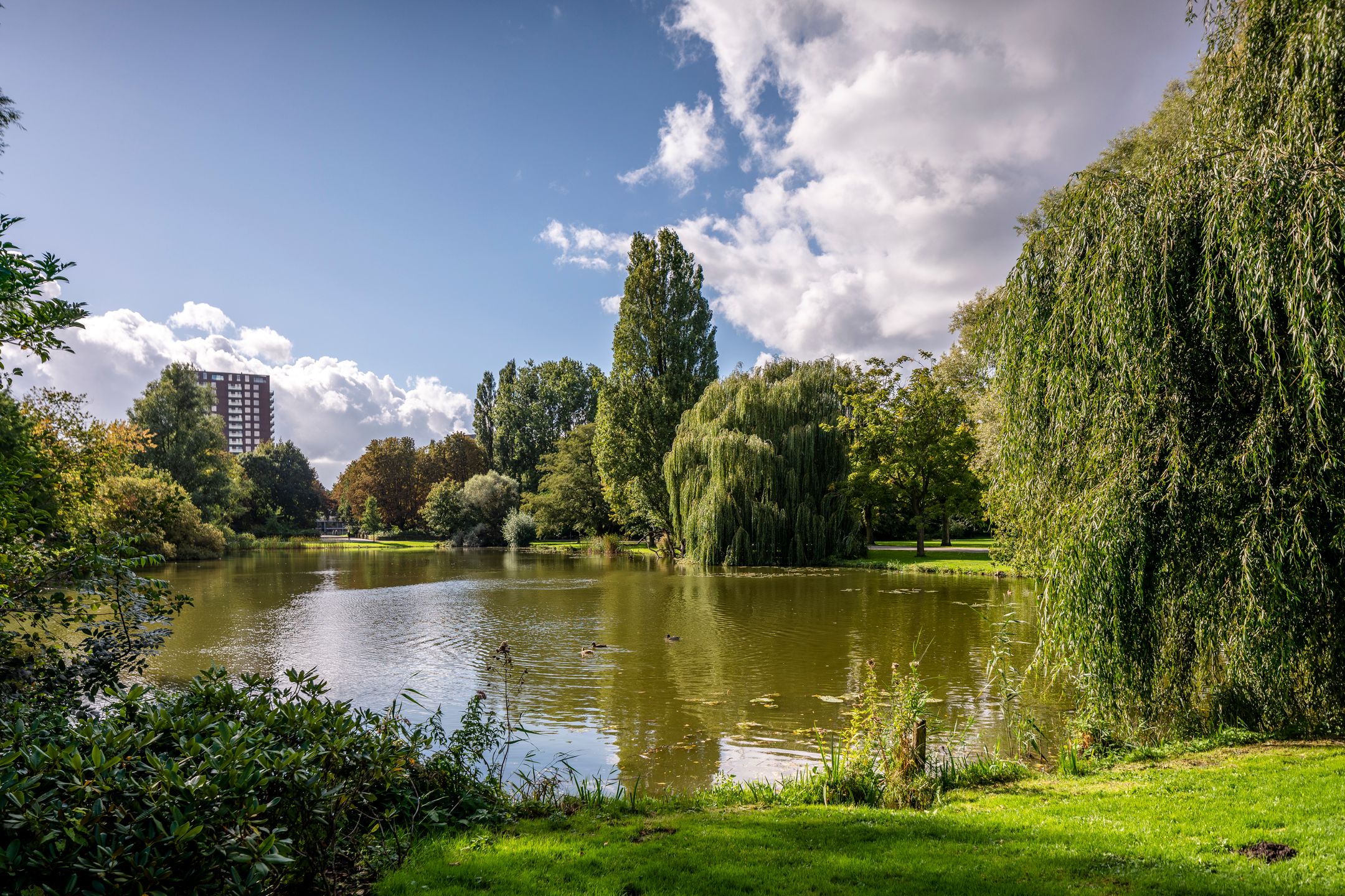 Photo 33 of Bataviastraat 36-H