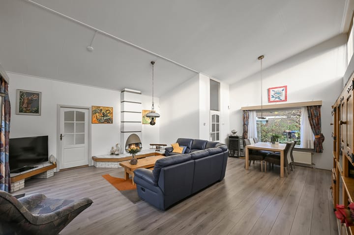 Foto 2 van Hondstong 4