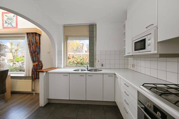 Foto 5 van Hondstong 4