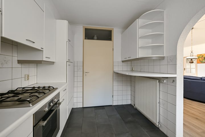 Foto 6 van Hondstong 4