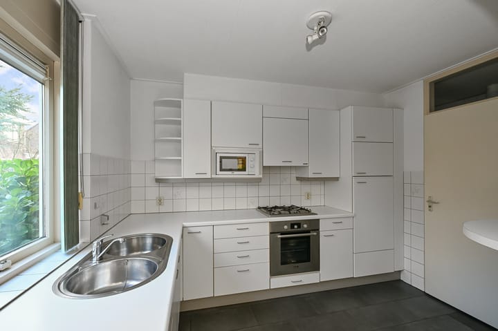 Foto 7 van Hondstong 4