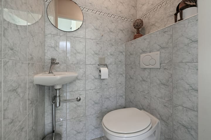 Foto 12 van Hondstong 4