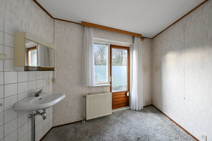 Foto 14 van Hondstong 4