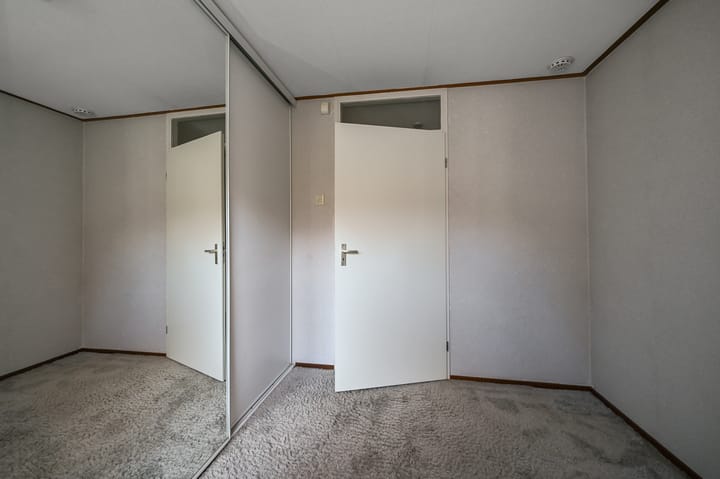 Foto 15 van Hondstong 4