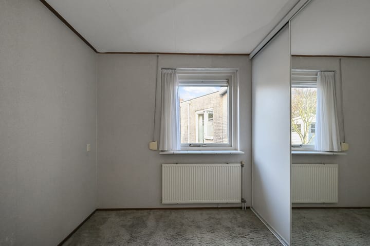 Foto 16 van Hondstong 4