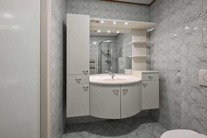 Foto 21 van Hondstong 4