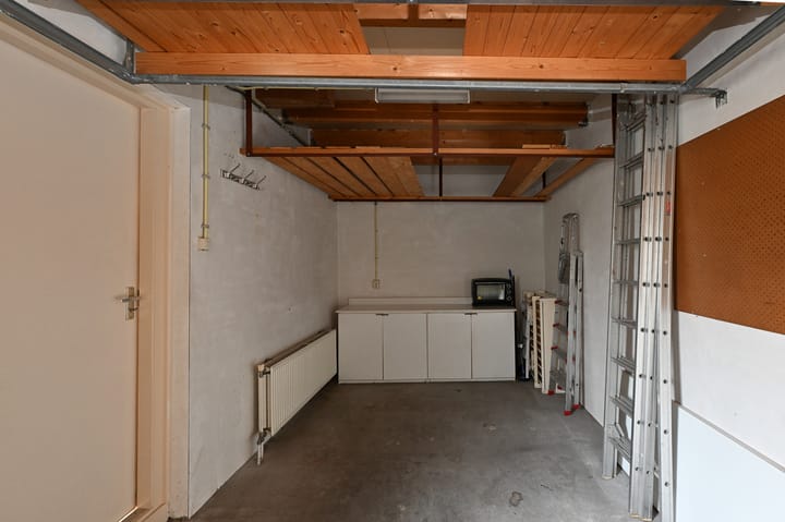 Foto 22 van Hondstong 4