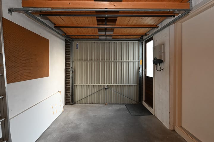 Foto 23 van Hondstong 4