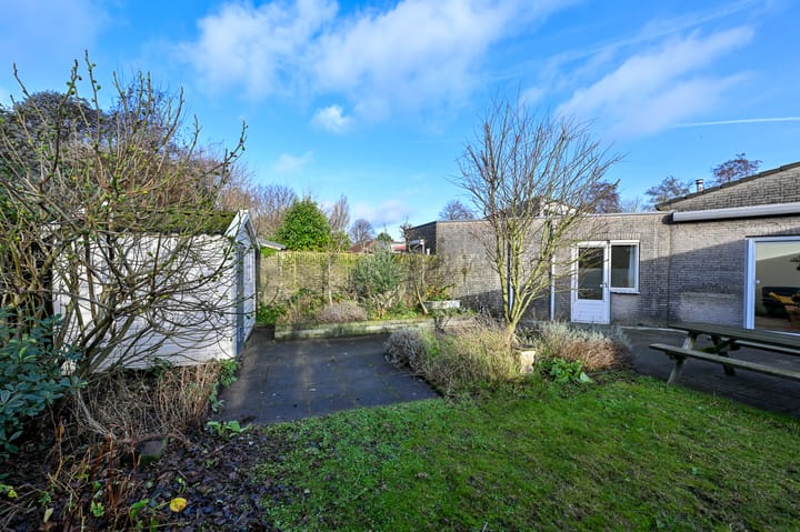 Foto 24 van Hondstong 4