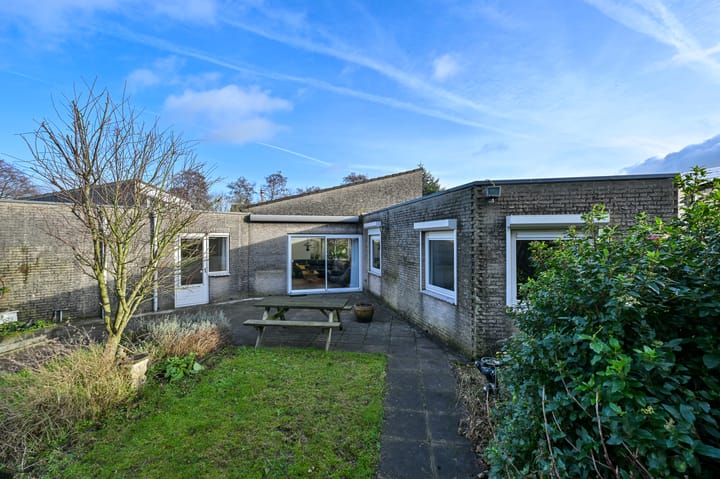 Foto 25 van Hondstong 4