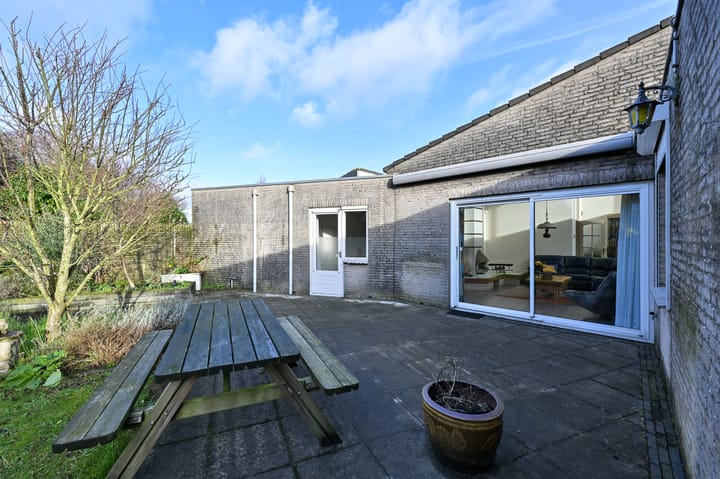 Foto 26 van Hondstong 4