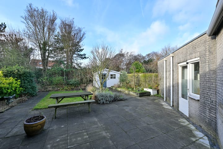 Foto 27 van Hondstong 4