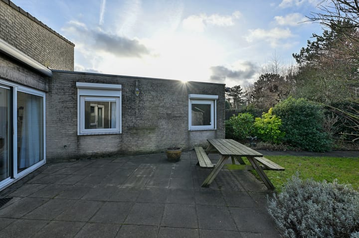 Foto 28 van Hondstong 4