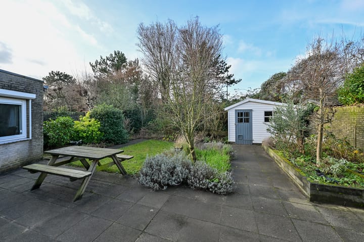 Foto 29 van Hondstong 4