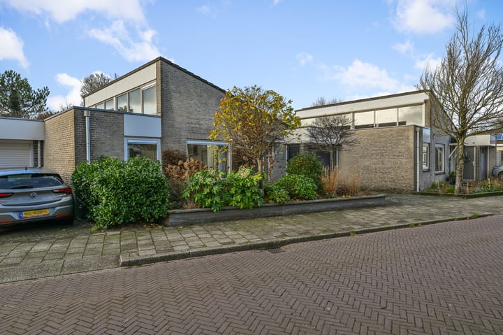 Foto 30 van Hondstong 4