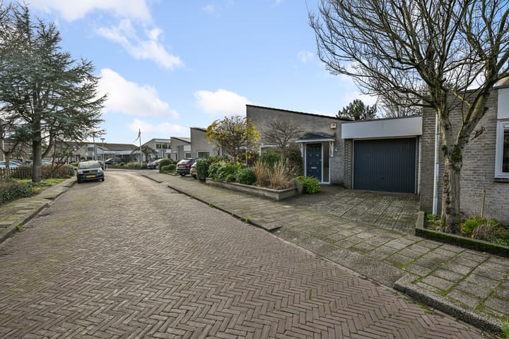 Foto 31 van Hondstong 4