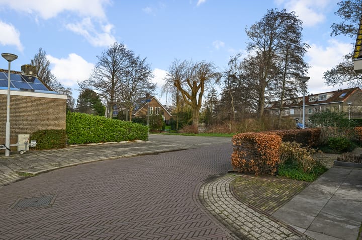 Foto 32 van Hondstong 4