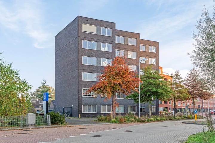 Foto 29 van Piet Mondriaanplein 131