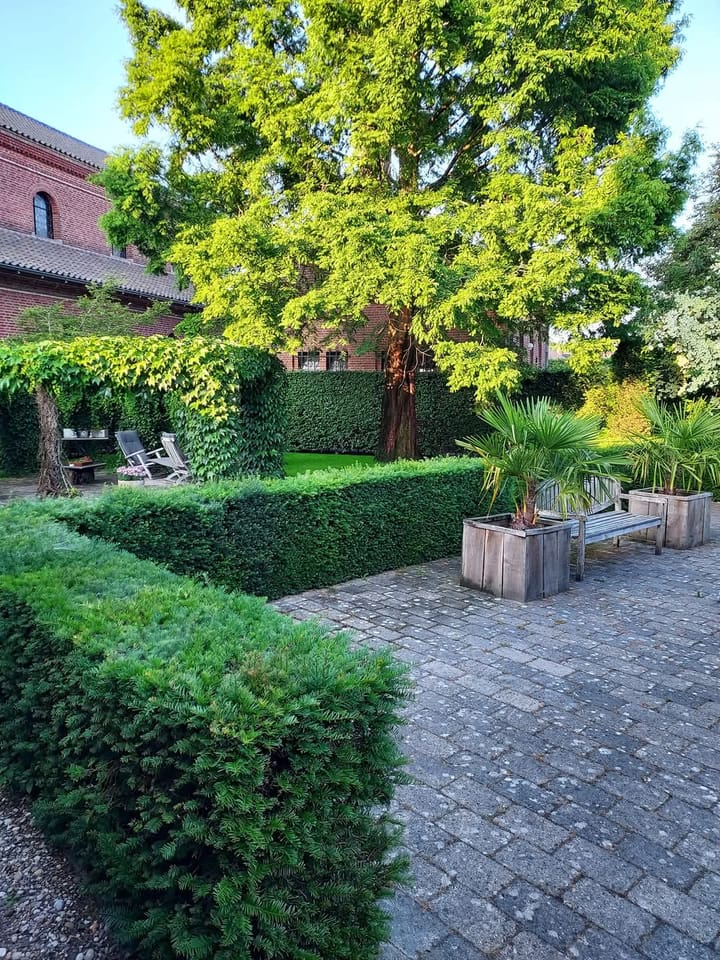 Foto 56 van Boomstraat 3