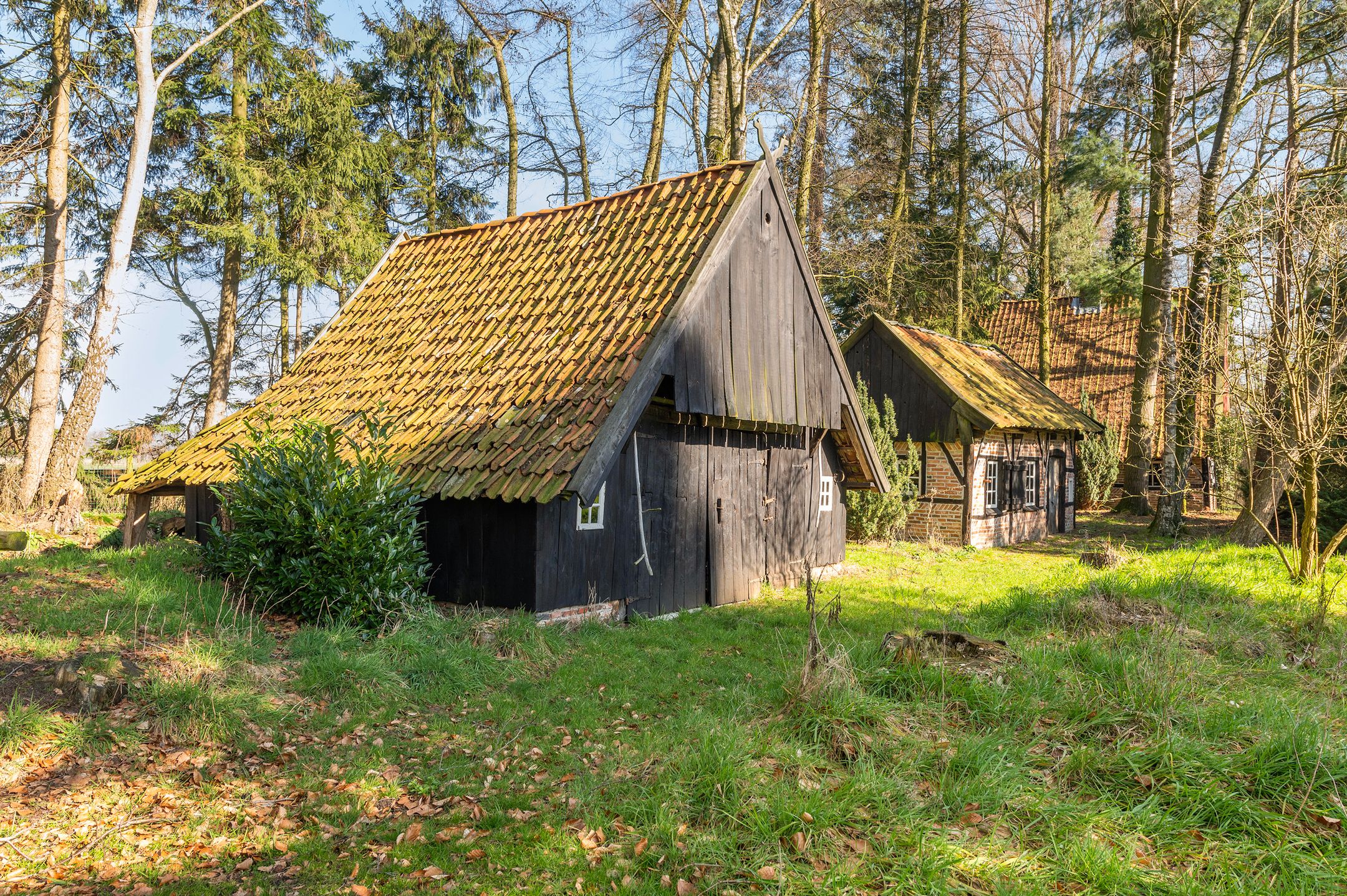 Foto 12 van Buninkdijk 3-A