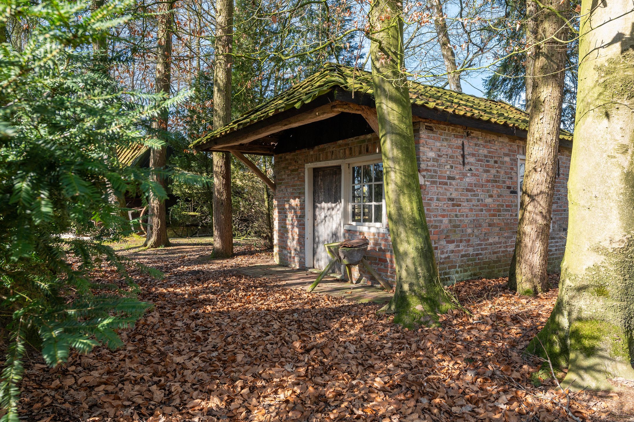 Foto 18 van Buninkdijk 3-A