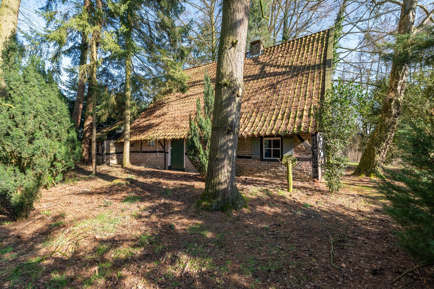 Foto 19 van Buninkdijk 3-A