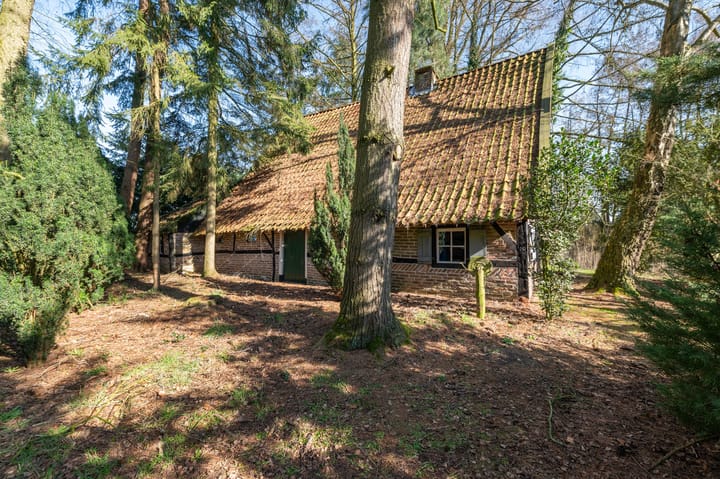 Foto 19 van Buninkdijk 3-A