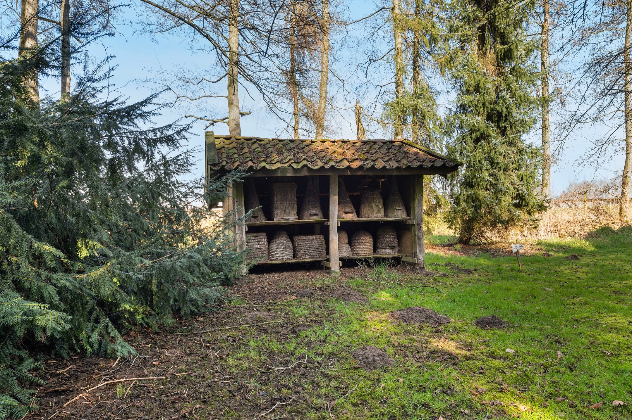 Foto 24 van Buninkdijk 3-A