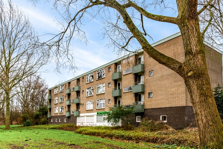 Foto 27 van Fideliolaan 26