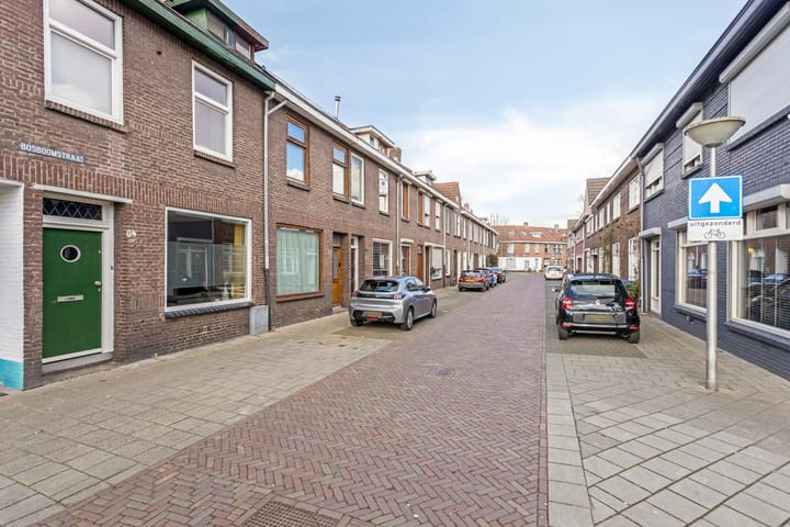 Foto 2 van Bosboomstraat 84