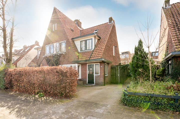 Dollardstraat 106