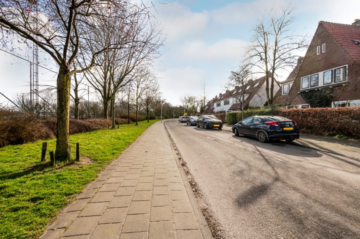 Foto 49 van Dollardstraat 106