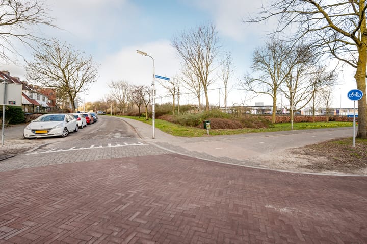 Foto 50 van Dollardstraat 106