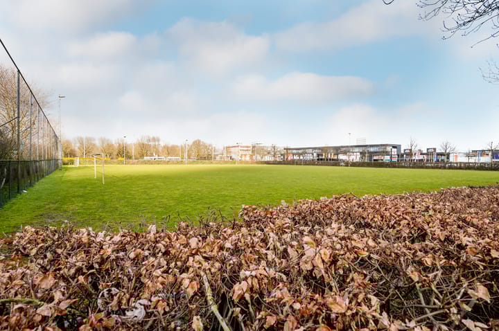 Foto 51 van Dollardstraat 106