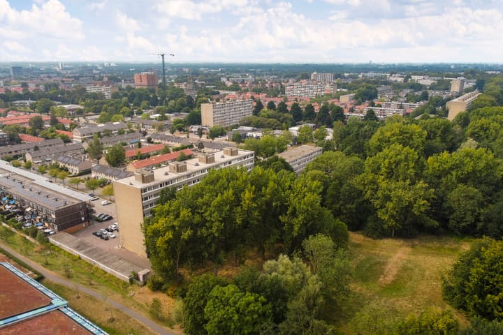 Foto 3 van Spreeuwenstraat 205