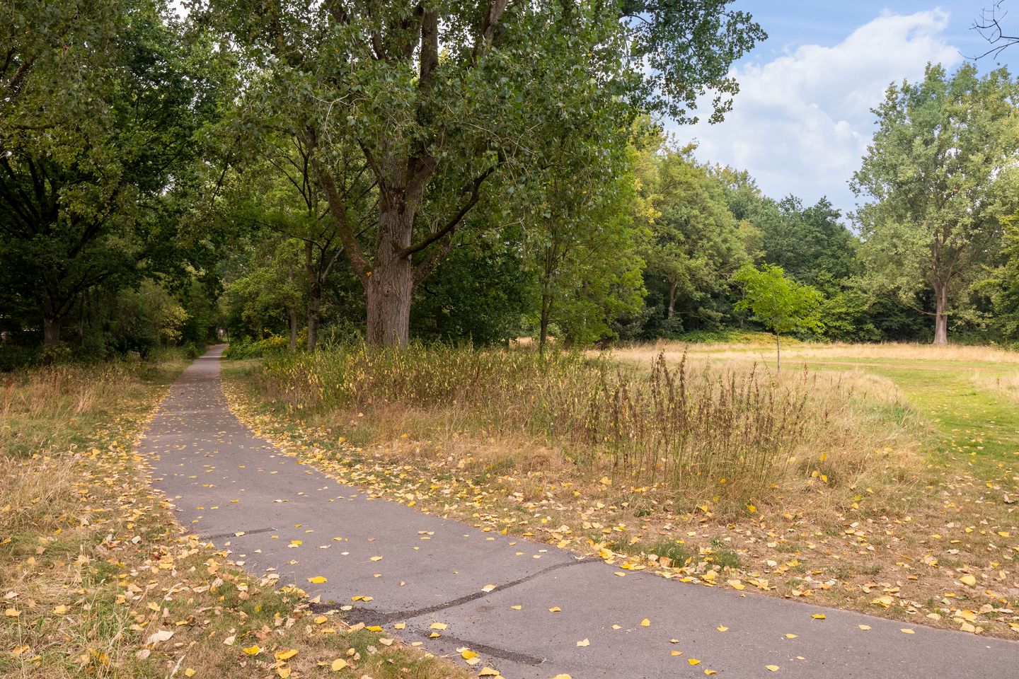 Foto 4 van Spreeuwenstraat 205