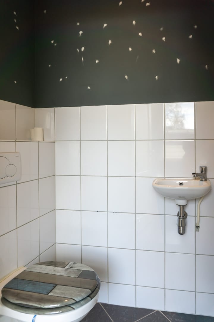 Foto 12 van Blauwehandstraat 14-A