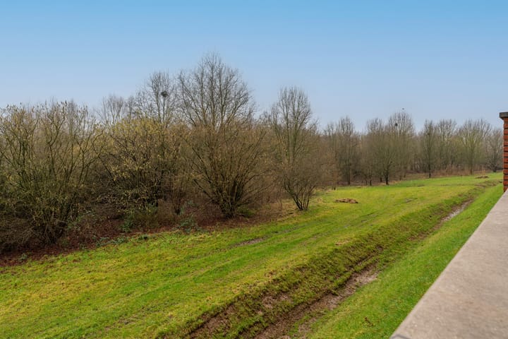 Foto 3 van Daliënwaerd 59