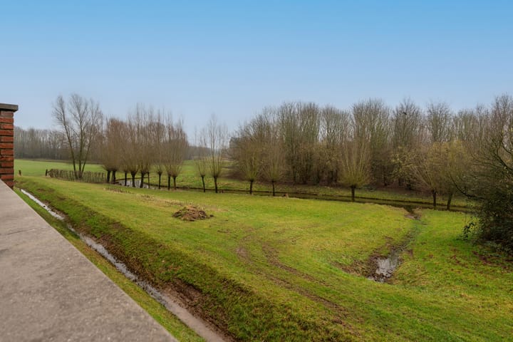 Foto 16 van Daliënwaerd 59