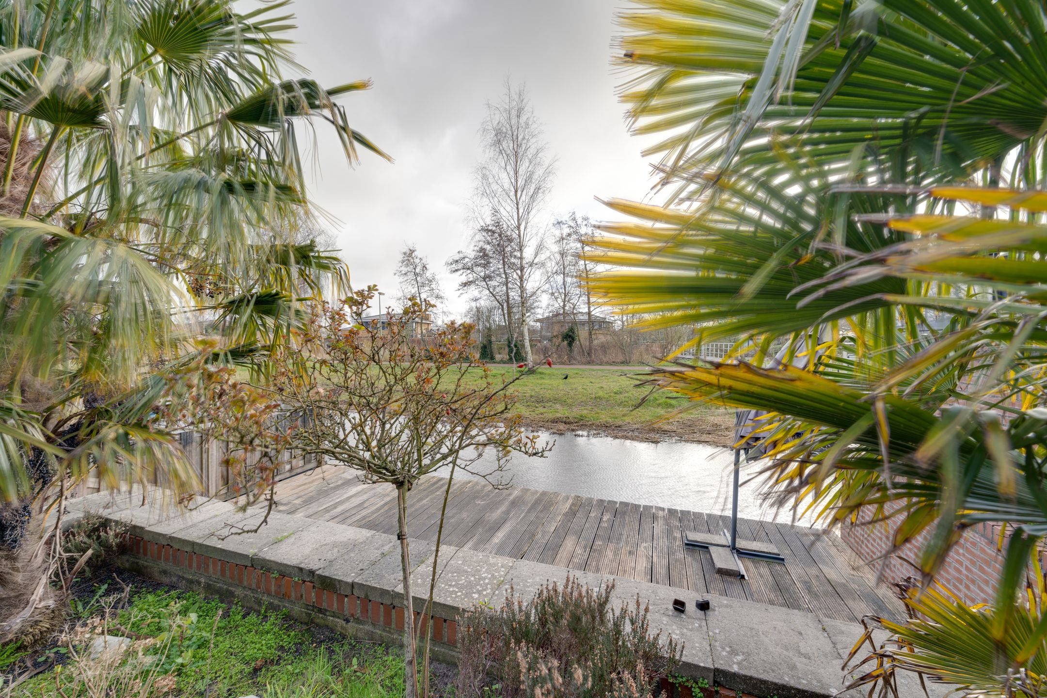 Foto 27 van Falconstraat 39