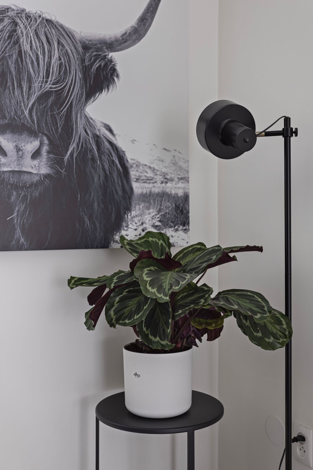 Foto 7 van Beiershil 17