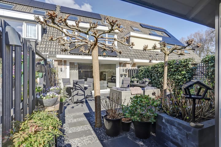 Foto 21 van Schout Janszpad 6