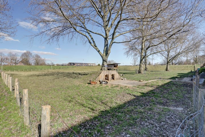 Foto 25 van Schout Janszpad 6