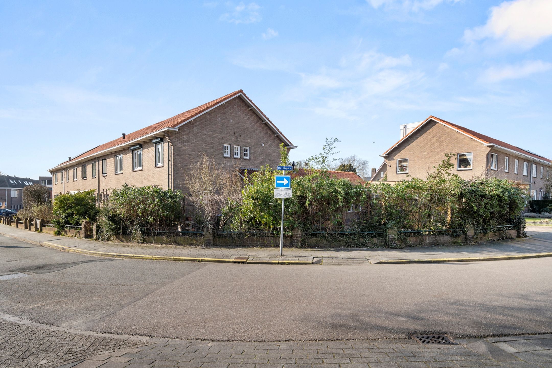 Foto 9 van Driehoek 21