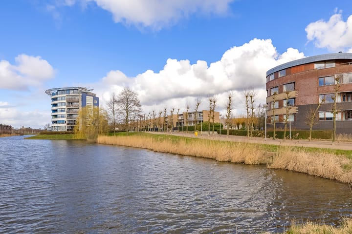 Foto 3 van L. Springerstraat 88